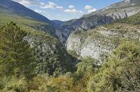 Cjp_2014_10_01_132744.jpg
