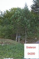 Cjp_2014_10_01_163748.jpg