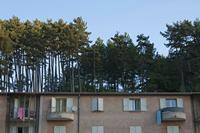 Cjp_2014_10_02_061752.jpg