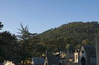 Cjp_2014_10_02_062442.jpg