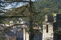 Cjp_2014_10_02_064456.jpg
