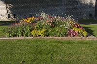 Cjp_2014_10_02_070828.jpg