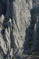 Cjp_2014_10_02_075140.jpg