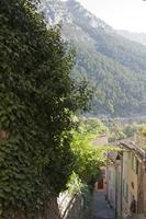Cjp_2014_10_02_080854.jpg