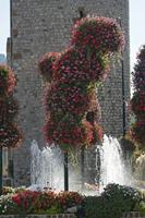 Cjp_2014_10_02_082544.jpg