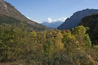 Cjp_2014_10_02_143148.jpg