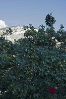 Cjp_2014_10_02_150656.jpg