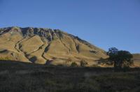 Cjp_2014_10_03_063112.jpg