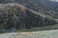 Cjp_2014_10_03_063432.jpg