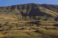 Cjp_2014_10_03_063526.jpg