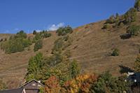 Cjp_2014_10_03_071130.jpg
