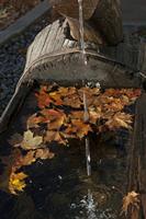 Cjp_2014_10_03_071330.jpg