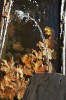 Cjp_2014_10_03_071348.jpg