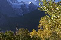 Cjp_2014_10_03_074950.jpg