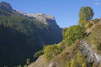 Cjp_2014_10_03_075018.jpg