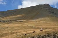 Cjp_2014_10_03_085332.jpg