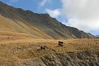 Cjp_2014_10_03_085514.jpg