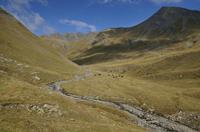 Cjp_2014_10_03_085524.jpg