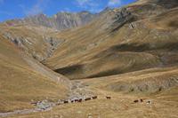 Cjp_2014_10_03_085532.jpg