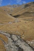 Cjp_2014_10_03_085546.jpg