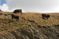Cjp_2014_10_03_085620.jpg