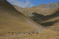 Cjp_2014_10_03_085712.jpg
