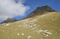 Cjp_2014_10_03_090822.jpg