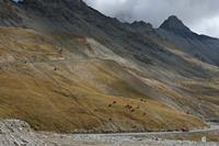 Cjp_2014_10_03_092612.jpg