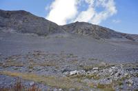 Cjp_2014_10_03_110104.jpg