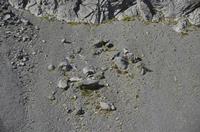 Cjp_2014_10_03_111614.jpg