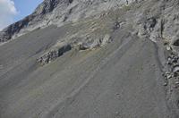 Cjp_2014_10_03_111622.jpg