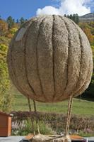 Cjp_2014_10_03_112658.jpg