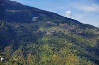 Cjp_2014_10_03_114814.jpg