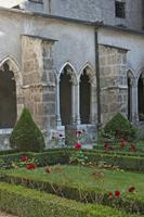 Cjp_2014_10_03_131116.jpg