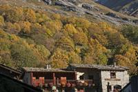 Cjp_2014_10_04_072406.jpg