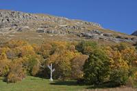Cjp_2014_10_04_072748.jpg