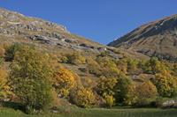 Cjp_2014_10_04_072816.jpg