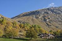 Cjp_2014_10_04_072926.jpg