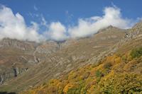 Cjp_2014_10_04_074046.jpg