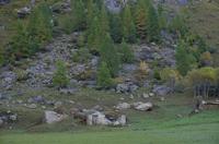 Cjp_2014_10_04_083154.jpg