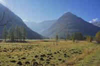 Cjp_2014_10_04_083708.jpg
