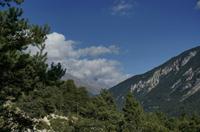 Cjp_2014_10_04_125440.jpg