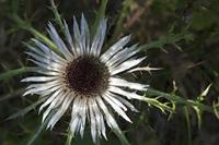 Cjp_2014_10_04_125932.jpg