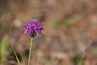 Cjp_2014_10_04_130258.jpg