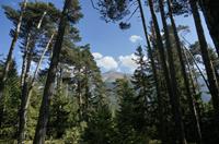 Cjp_2014_10_04_130554.jpg