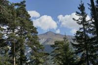 Cjp_2014_10_04_130558.jpg