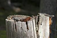 Cjp_2014_10_04_130706.jpg