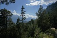 Cjp_2014_10_04_131300.jpg