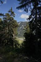 Cjp_2014_10_04_132044.jpg