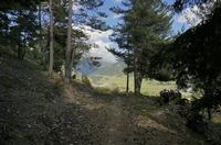 Cjp_2014_10_04_132946.jpg